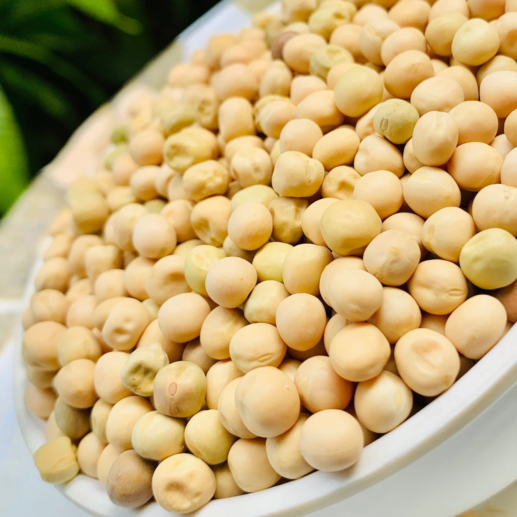 Dried White Peas